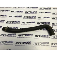 Патрубок радіатора верхній Ford Focus 2 1.8 TDCI 2005-2010 3M5H8260MD
